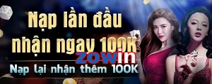 zowin